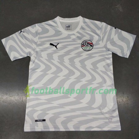 Tenue Égypte Exterieur 2019 Maillot de Foot
